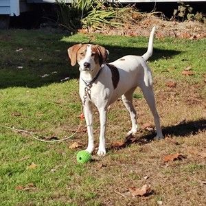 Meet your Posher, Ken